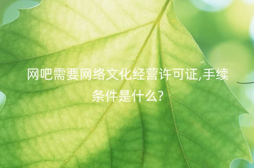 網吧需要網絡文化經營許可證,手續條件是什么?
