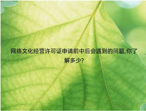 網絡文化經營許可證申請前中后會遇到的問題,你了解多少?