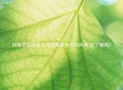網絡文化經營許可證簡單分為六種類,你了解嗎?