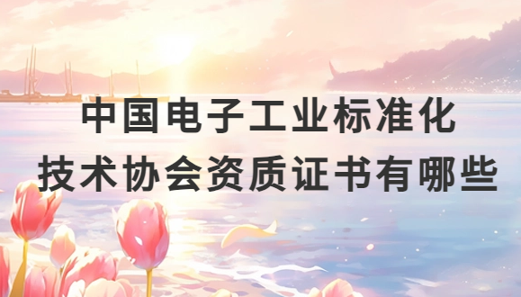 中國電子工業標準化技術協會資質證書有哪些?