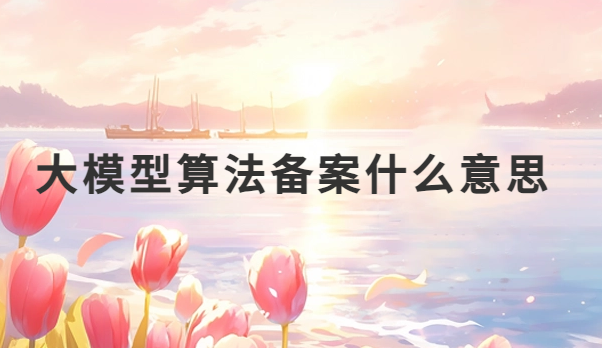 大模型算法備案什么意思?與互聯網算法備案有什么區別?